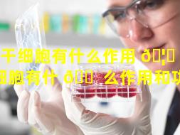 单干细胞有什么作用 🦁 （单干细胞有什 🐠 么作用和功能）